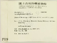登錄號:F0000941藏品圖，第2張