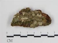 登錄號:F0000941藏品圖，第1張