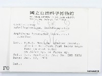 登錄號:F0000942藏品圖，第2張
