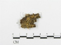 登錄號:F0000942藏品圖，第1張