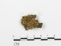登錄號:F0000942藏品圖，第3張