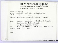 登錄號:F0000944藏品圖，第2張