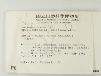 登錄號:F0000945藏品圖，第2張