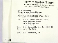 登錄號:F0000946藏品圖，第2張