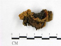 登錄號:F0000946藏品圖，第1張