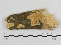 登錄號:F0000947藏品圖，第1張