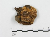 登錄號:F0000948藏品圖，第1張