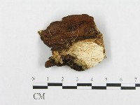 登錄號:F0000948藏品圖，第3張