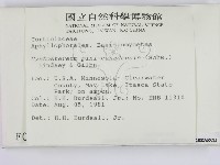 登錄號:F0000949藏品圖，第2張