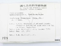 登錄號:F0000950藏品圖，第2張