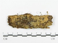 登錄號:F0000950藏品圖，第1張