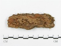 登錄號:F0000950藏品圖，第3張