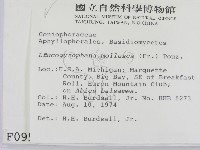 登錄號:F0000951藏品圖，第2張