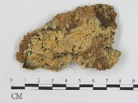 登錄號:F0000951藏品圖，第1張
