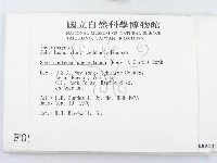 登錄號:F0000952藏品圖，第2張