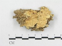 登錄號:F0000952藏品圖，第1張