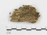 登錄號:F0000952藏品圖，第3張