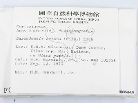 登錄號:F0000953藏品圖，第2張