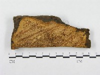 登錄號:F0000953藏品圖，第1張