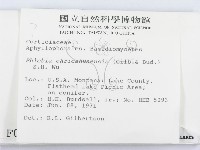 登錄號:F0000954藏品圖，第2張