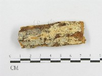 登錄號:F0000954藏品圖，第1張