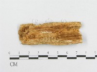 登錄號:F0000954藏品圖，第3張