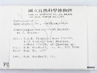 登錄號:F0000955藏品圖，第2張