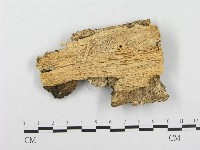 登錄號:F0000955藏品圖，第3張