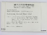 登錄號:F0000956藏品圖，第2張