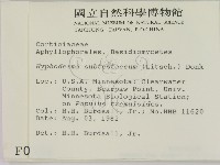 登錄號:F0000958藏品圖，第2張