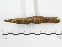 登錄號:F0000959藏品圖，第3張