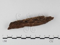 登錄號:F0000959藏品圖，第4張