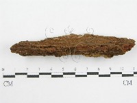 登錄號:F0000959藏品圖，第5張