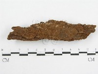 登錄號:F0000959藏品圖，第6張