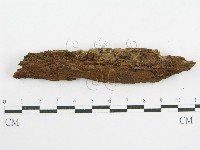 登錄號:F0000959藏品圖，第7張