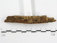 登錄號:F0000959藏品圖，第8張