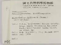登錄號:F0000960藏品圖，第2張