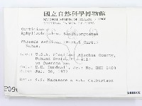 登錄號:F0000961藏品圖，第2張