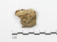登錄號:F0000961藏品圖，第1張