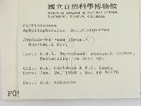登錄號:F0000962藏品圖，第2張