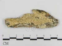 登錄號:F0000962藏品圖，第1張