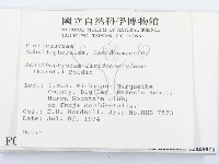 登錄號:F0000963藏品圖，第2張