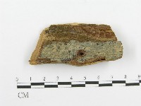 登錄號:F0000963藏品圖，第1張