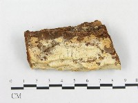 登錄號:F0000964藏品圖，第1張