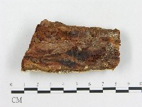 登錄號:F0000964藏品圖，第3張
