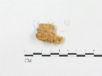 館號:F0000965藏品圖，第1張