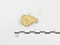 館號:F0000965藏品圖，第3張