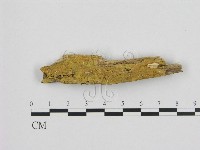 登錄號:F0000966藏品圖，第1張