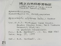 登錄號:F0000967藏品圖，第2張