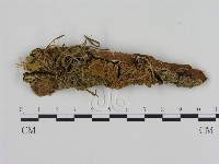 登錄號:F0000967藏品圖，第1張